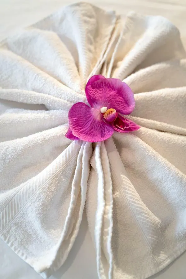 Beach Cove Bel Ombre